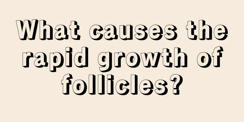 What causes the rapid growth of follicles?