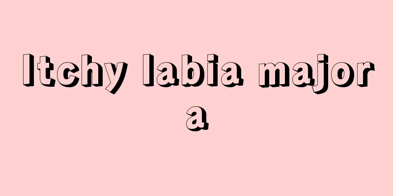 Itchy labia majora