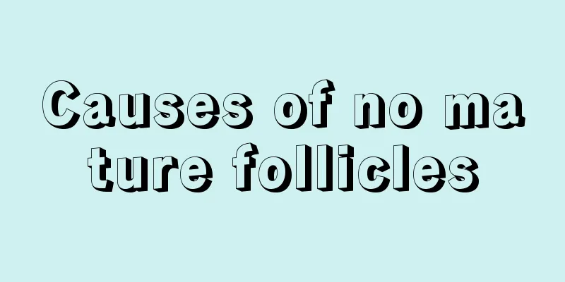 Causes of no mature follicles