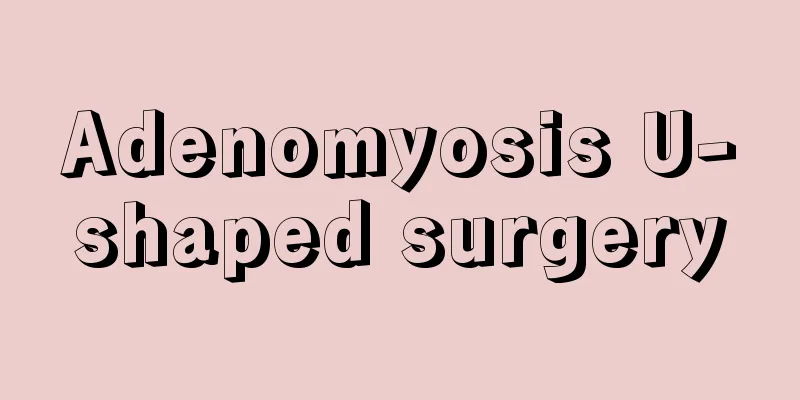 Adenomyosis U-shaped surgery