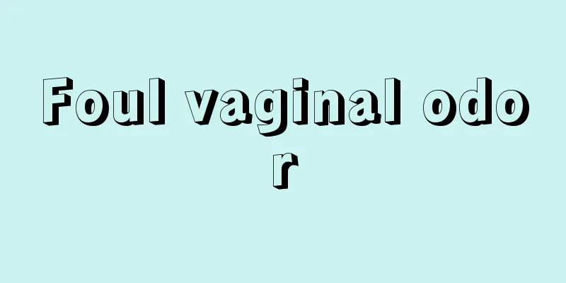 Foul vaginal odor