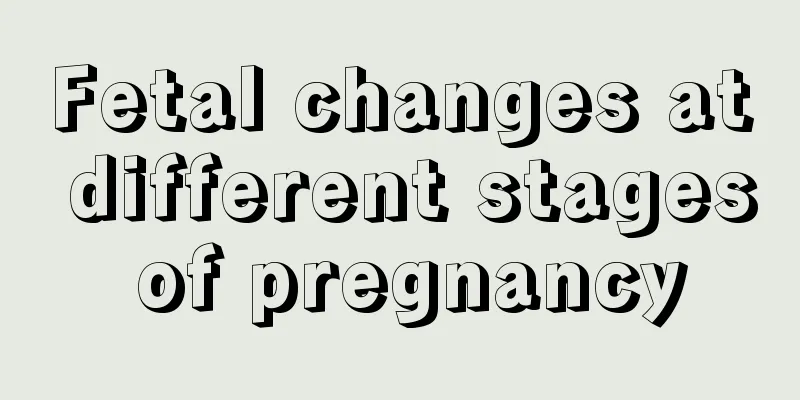 Fetal changes at different stages of pregnancy