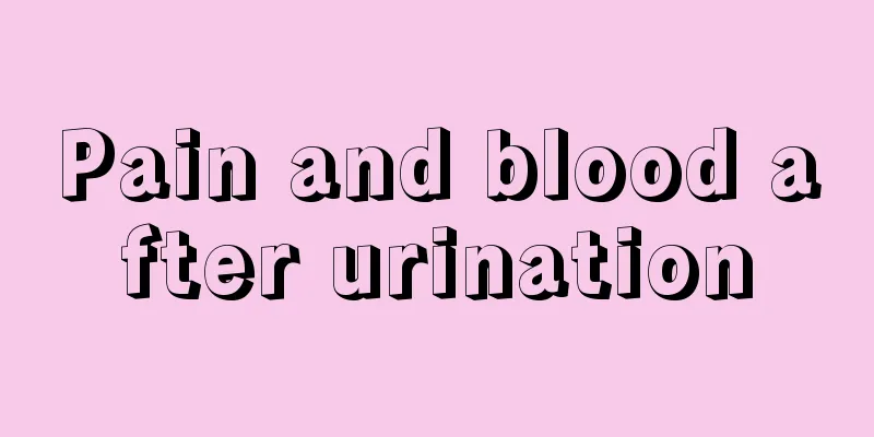 Pain and blood after urination