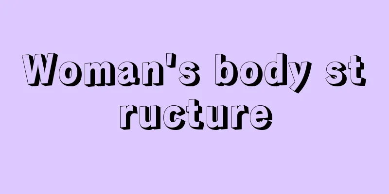 Woman's body structure