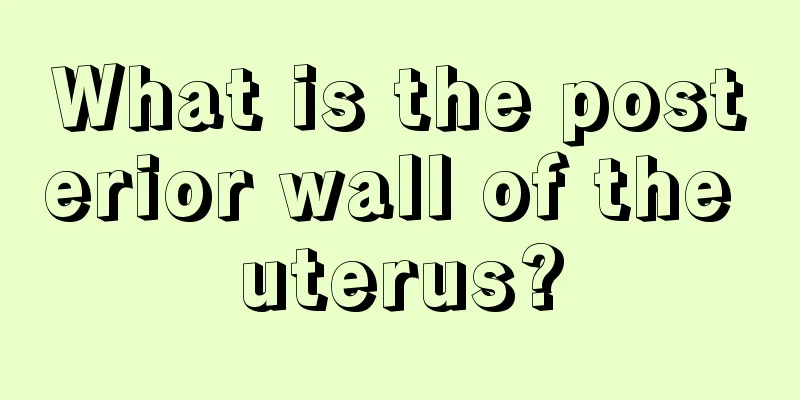 What is the posterior wall of the uterus?