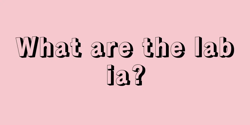 What are the labia?