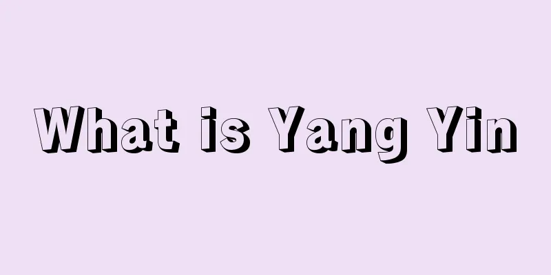 What is Yang Yin