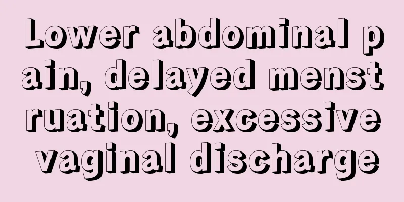 Lower abdominal pain, delayed menstruation, excessive vaginal discharge