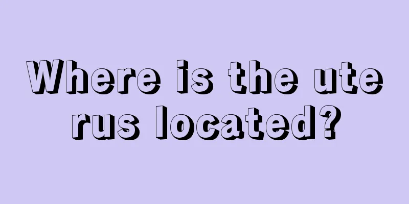 Where is the uterus located?