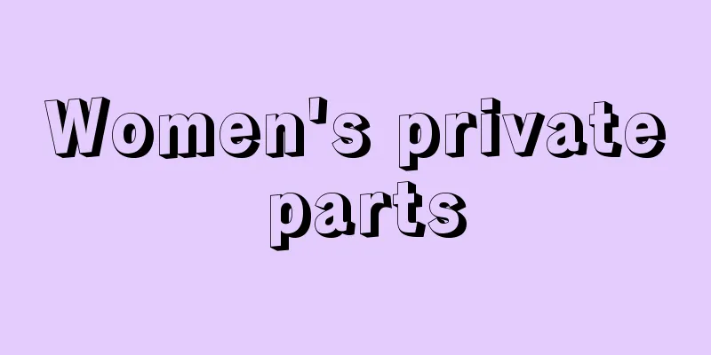 Women's private parts