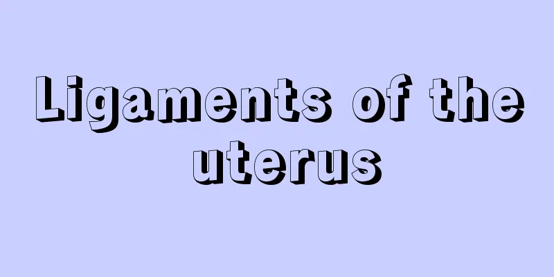 Ligaments of the uterus