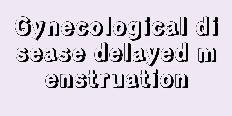 Gynecological disease delayed menstruation