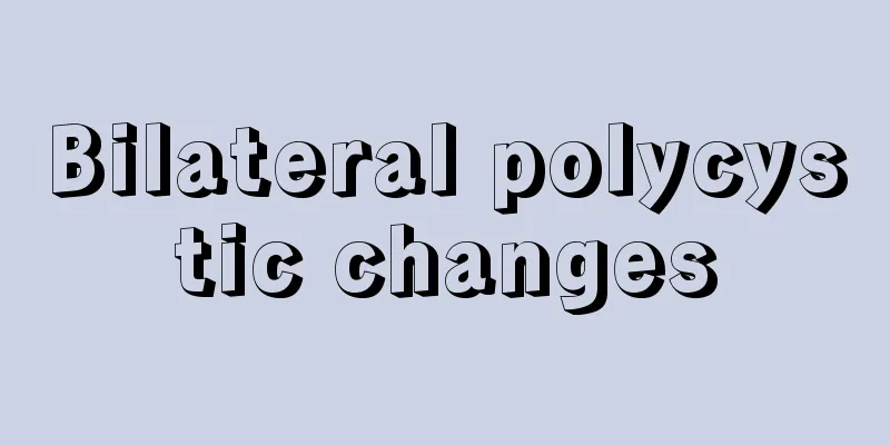 Bilateral polycystic changes