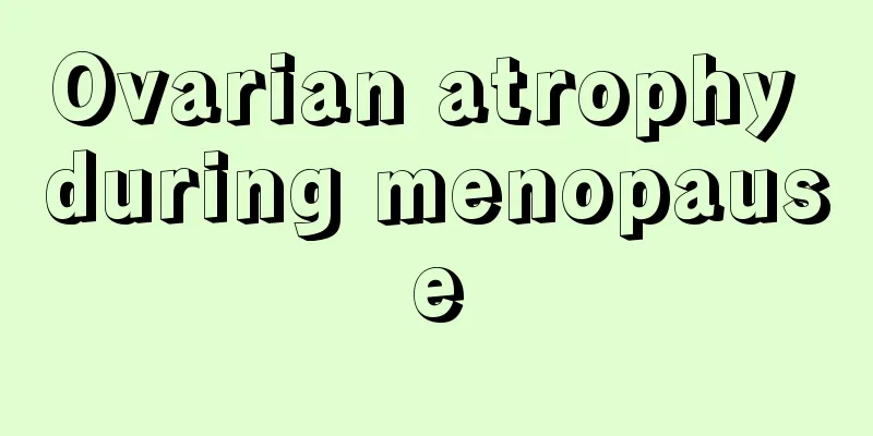 Ovarian atrophy during menopause