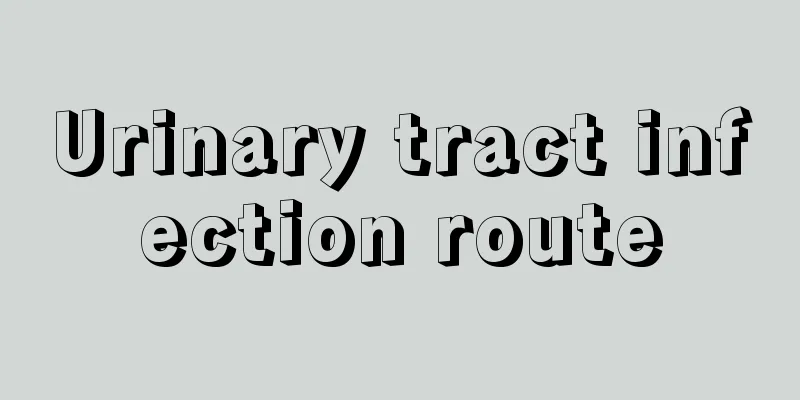 Urinary tract infection route