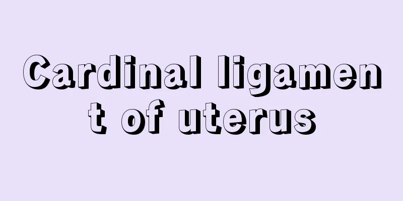 Cardinal ligament of uterus