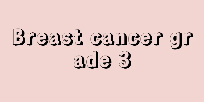 Breast cancer grade 3