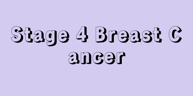 Stage 4 Breast Cancer