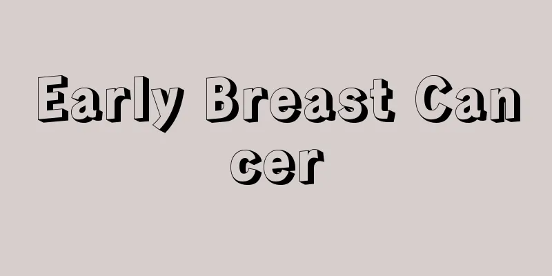 Early Breast Cancer