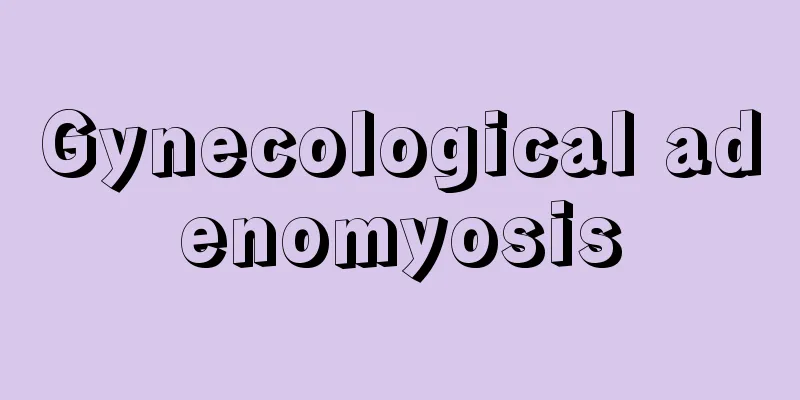 Gynecological adenomyosis