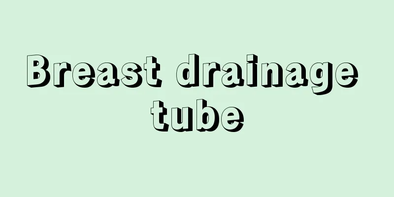 Breast drainage tube