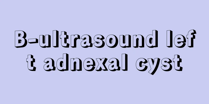 B-ultrasound left adnexal cyst