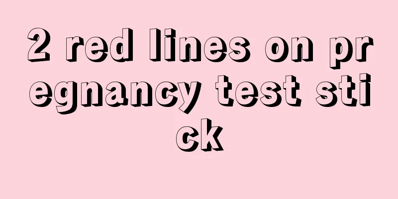 2 red lines on pregnancy test stick