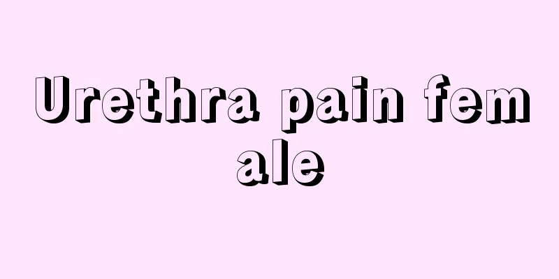 Urethra pain female