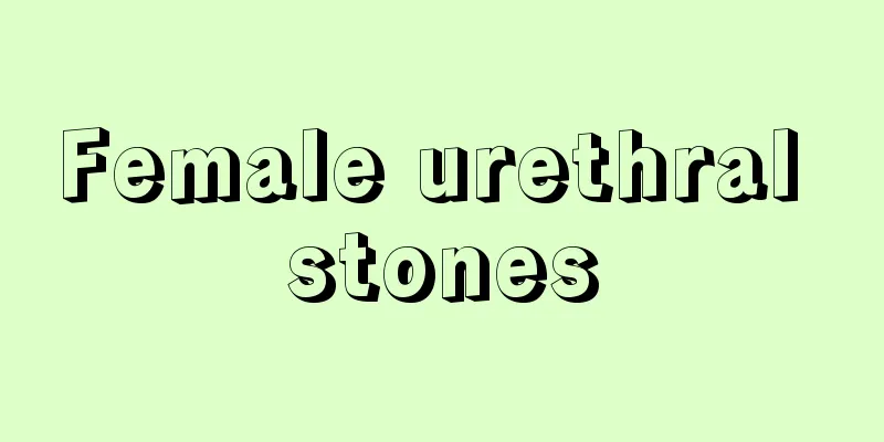 Female urethral stones