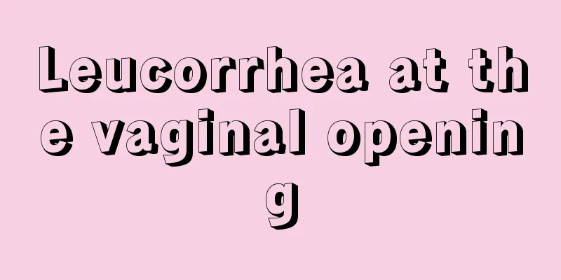 Leucorrhea at the vaginal opening