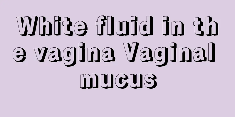 White fluid in the vagina Vaginal mucus