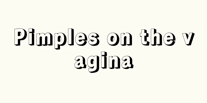 Pimples on the vagina