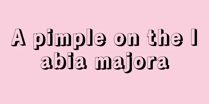 A pimple on the labia majora