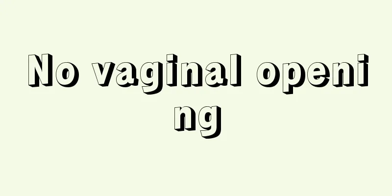 No vaginal opening