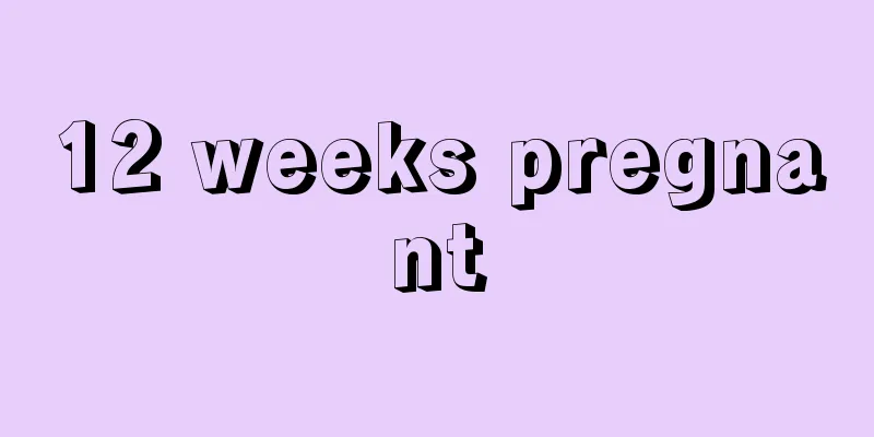 12 weeks pregnant