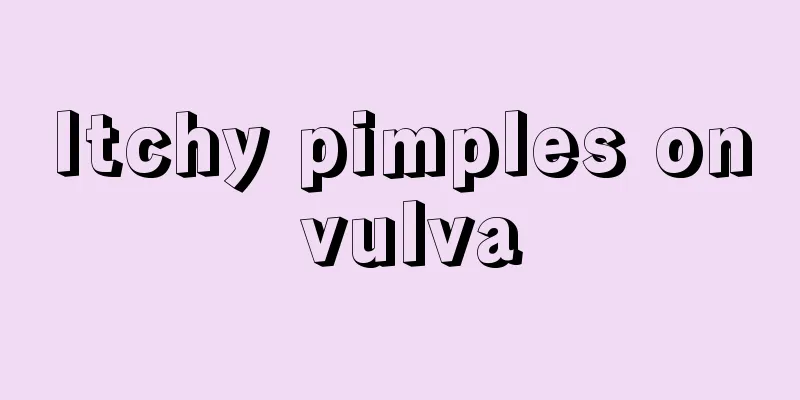 Itchy pimples on vulva