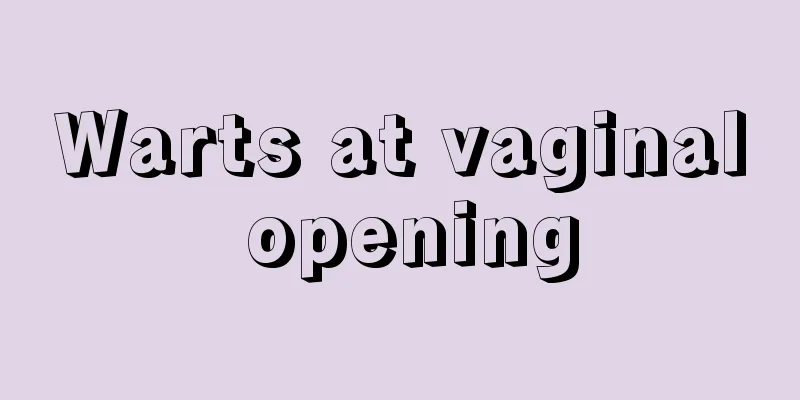 Warts at vaginal opening