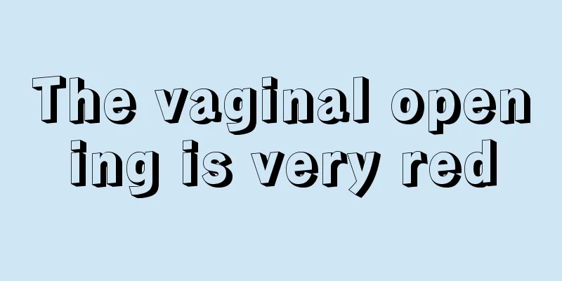 The vaginal opening is very red