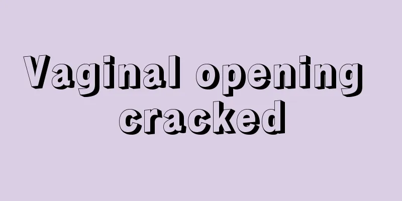 Vaginal opening cracked