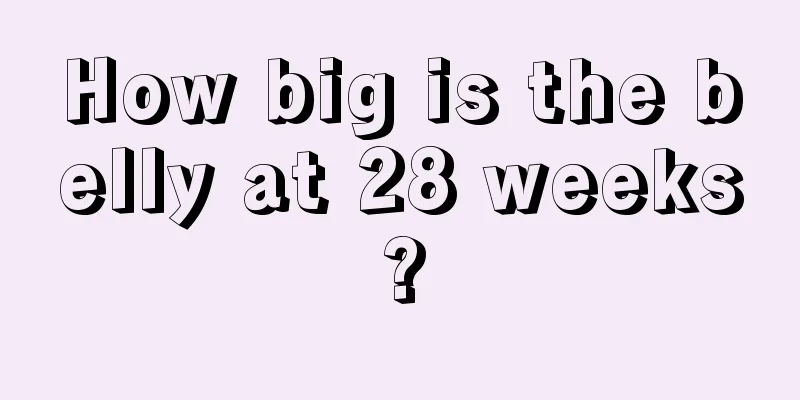 How big is the belly at 28 weeks?