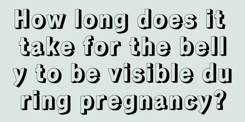 How long does it take for the belly to be visible during pregnancy?