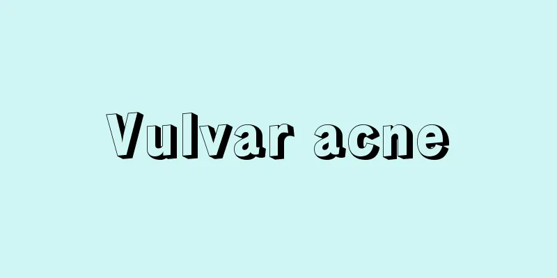 Vulvar acne