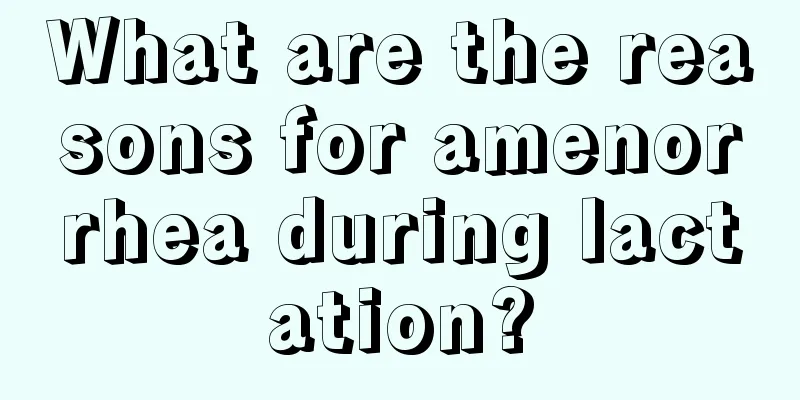 What are the reasons for amenorrhea during lactation?