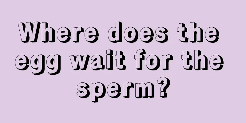 Where does the egg wait for the sperm?