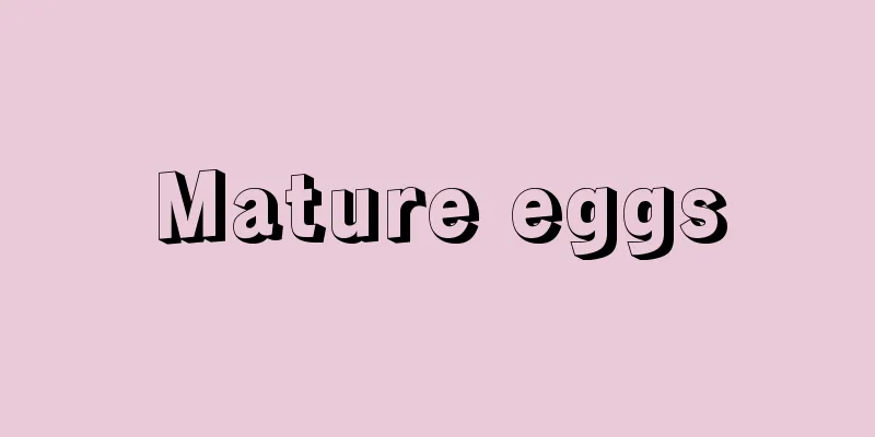 Mature eggs