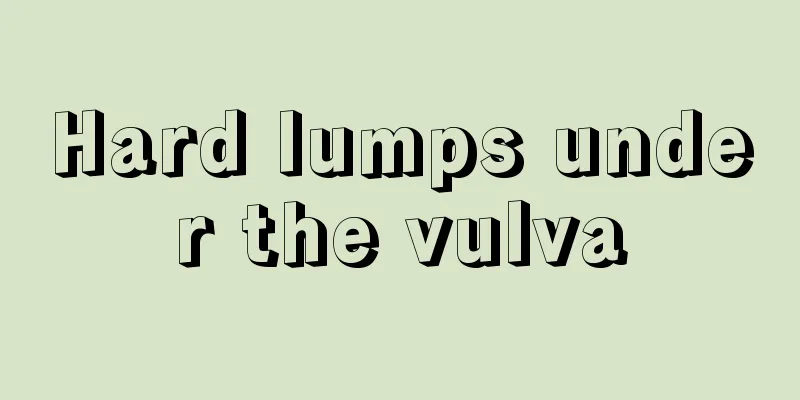 Hard lumps under the vulva