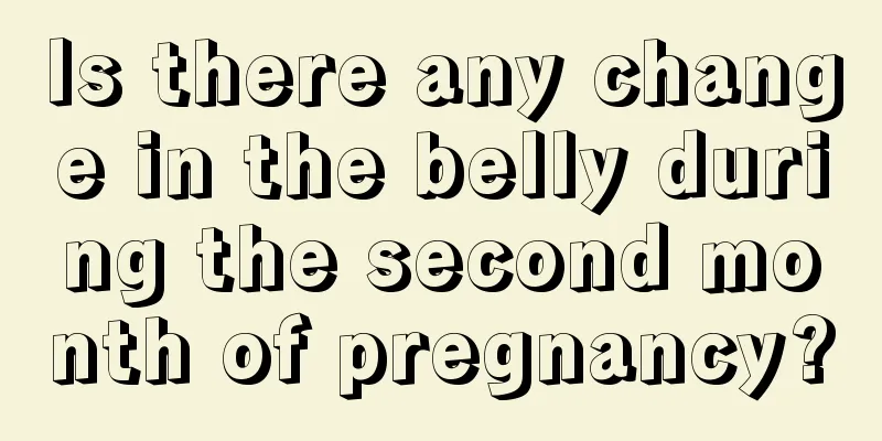 Is there any change in the belly during the second month of pregnancy?