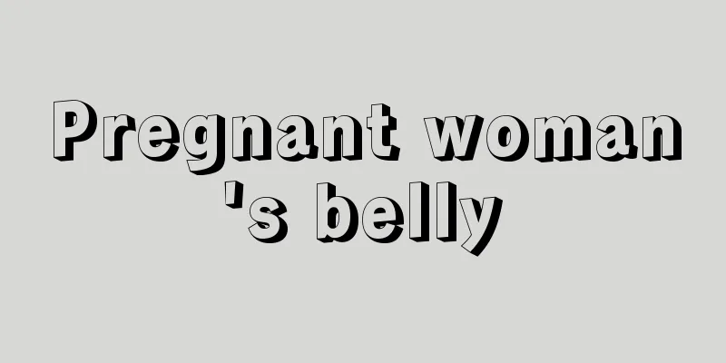 Pregnant woman's belly