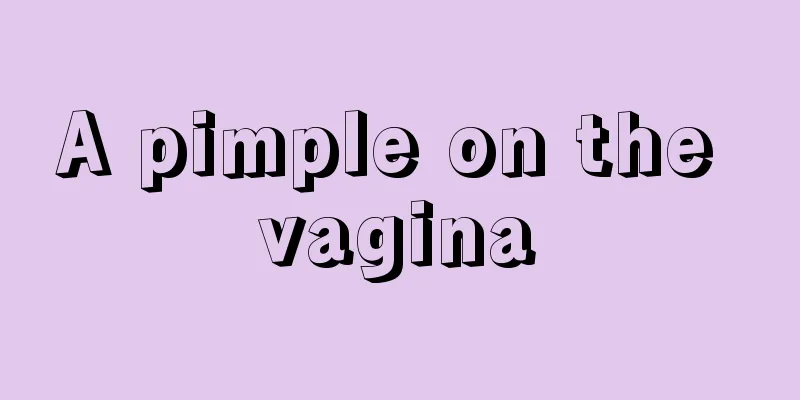 A pimple on the vagina