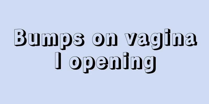 Bumps on vaginal opening